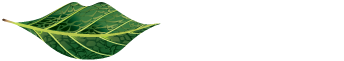 Éric Gauthier Naturopathe-Parce que votre santé me tient à coeur